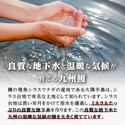 【訳あり】鹿児島県大隅産 うなぎカット蒲焼 合計500g  (100g×5パック)