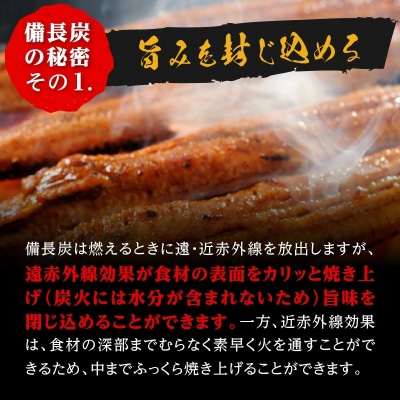 【訳あり】鹿児島県大隅産 うなぎカット蒲焼 合計500g  (100g×5パック)