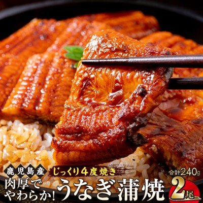 うなぎ 蒲焼 120g×2尾【鹿児島産】地下水で育てた逸品鰻