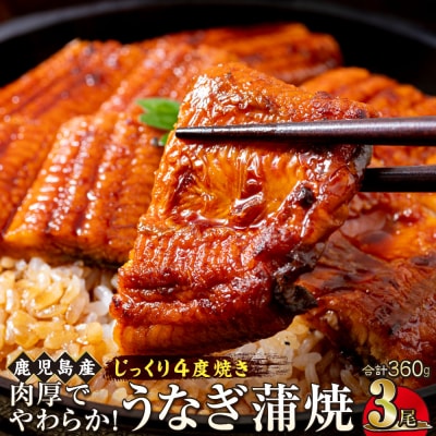 うなぎ 蒲焼 120g×3尾【鹿児島産】地下水で育てた逸品鰻
