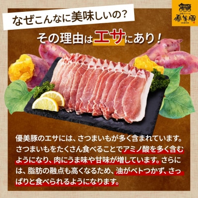 鹿児島県産黒豚「優美豚」ロース三昧セット
