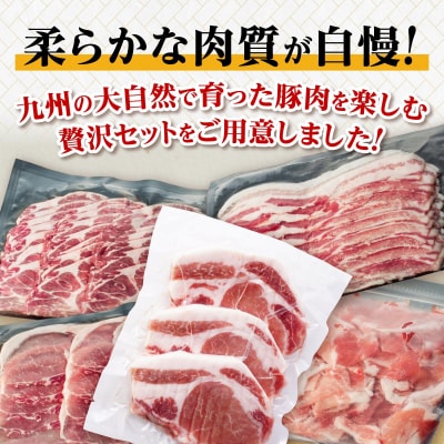 【定期便】豚肉4種 贅沢セット 2.25kg 全3回定期便
