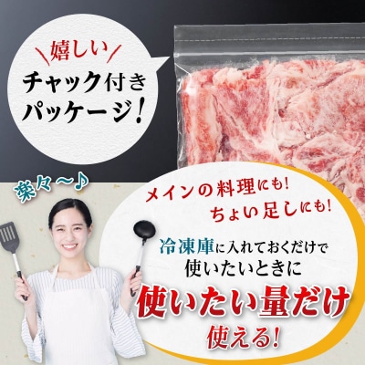 【定期便】豚肉4種 贅沢セット 2.25kg 全3回定期便