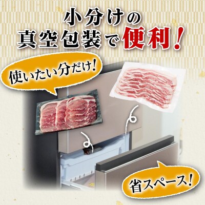 【定期便】九州産　豚肉2種　贅沢セット　1.5kg　全3回定期便　