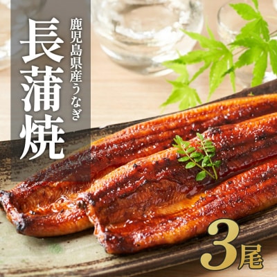ふるさと納税限定　鹿児島県大崎町産 国産 うなぎ長蒲焼 3尾 計480g以上