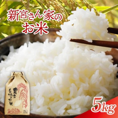 【精米】大崎産 新宮ほのか米 (なつほのか)5kg