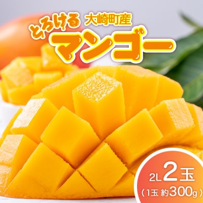 【JA大崎選果場厳選】「大崎産マンゴー2026」 おおよそ300g×2玉