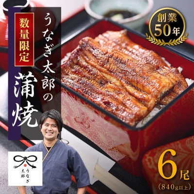 【蒲焼6尾(合計840g以上)】創業50年・職人による手焼き　大隅産うなぎ
