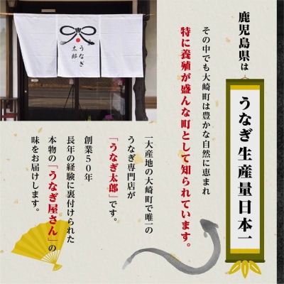 【蒲焼6尾(合計840g以上)】創業50年・職人による手焼き　大隅産うなぎ