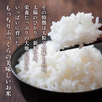 【精米】令和8年産新米 先行受付 大崎産「なつほのか」20kg