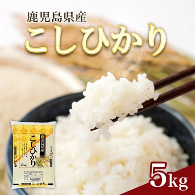 【精米】令和8年産新米 先行受付 大崎産「コシヒカリ」5kg