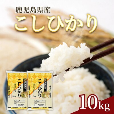 【精米】令和8年産新米 先行受付 大崎産「コシヒカリ」10kg