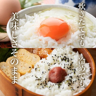 【精米】令和8年産新米 先行受付 大崎産「コシヒカリ」10kg