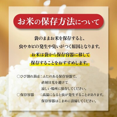 【精米】令和8年産新米 先行受付 大崎産「コシヒカリ」10kg