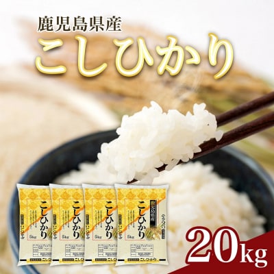 【精米】令和8年産新米 先行受付 大崎産「コシヒカリ」20kg