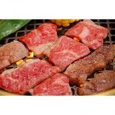 肥後の赤牛　焼肉用　500g(熊本県産和牛)