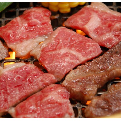 【毎月定期便】肥後の赤牛　焼肉用　500g(熊本県産和牛)全3回