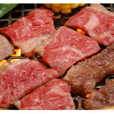 【毎月定期便】肥後の赤牛　焼肉用　500g(熊本県産和牛)全6回