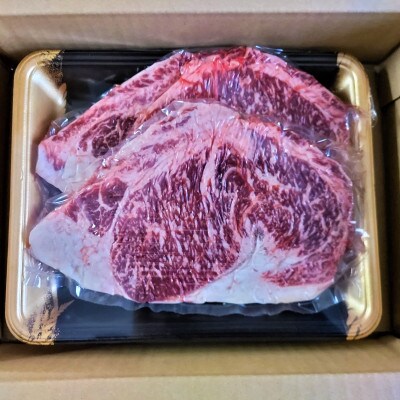 【毎月定期便】肥後の赤牛　ロースステーキ500g(熊本県産和牛)(荒尾市)全3回
