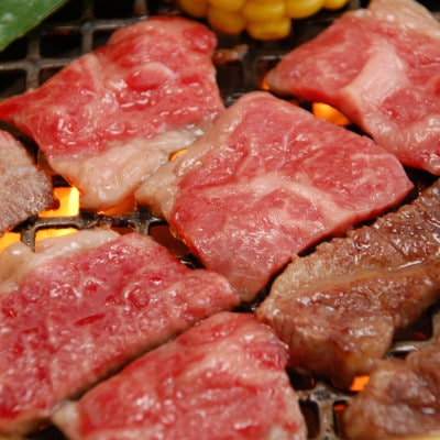 【毎月定期便】【GI認証】くまもとあか牛　焼肉用400g(荒尾市)全3回
