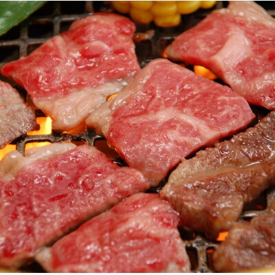 【毎月定期便】【GI認証】くまもとあか牛　焼肉用400g(荒尾市)全6回