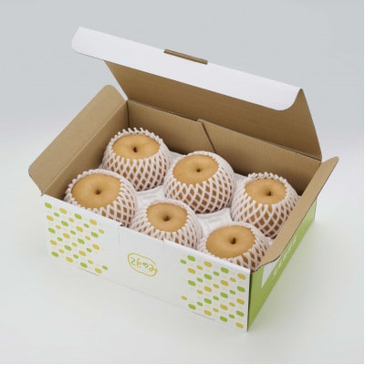【先行受付】【荒尾梨】新ブランド「ことのみ」あきづき梨 3.5kg(6～9個入り)