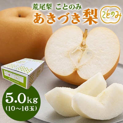 荒尾梨ブランド「ことのみ」あきづき梨 5.0kg(10～16個入り)