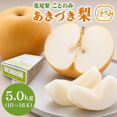 【先行受付】荒尾梨ブランド「ことのみ」あきづき梨 5.0kg(10～16個入り)