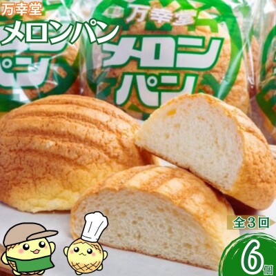 【毎月定期便】熊本県 荒尾市 メロンパン プレーン 冷凍 6個セット全3回