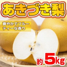 あきづき梨 約5kg(9玉～18玉)(荒尾市)