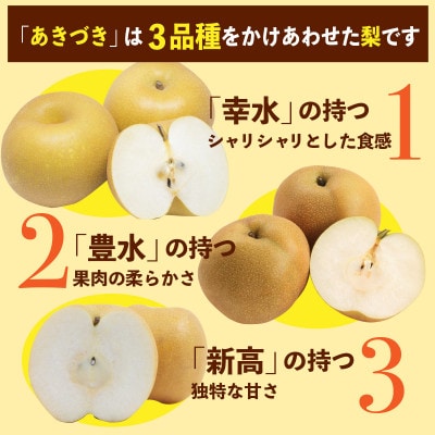 あきづき梨　約5kg(9玉～18玉)(荒尾市)