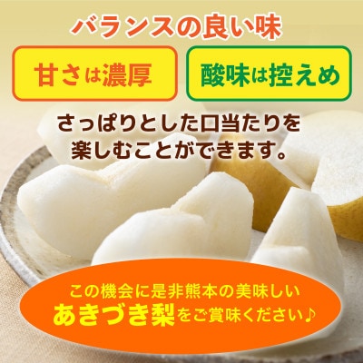 あきづき梨　約5kg(9玉～18玉)(荒尾市)