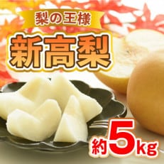 新高梨 約5kg(6玉～12玉)(荒尾市)