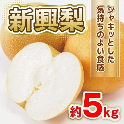 新興梨　約5kg(10玉～20玉)(荒尾市)