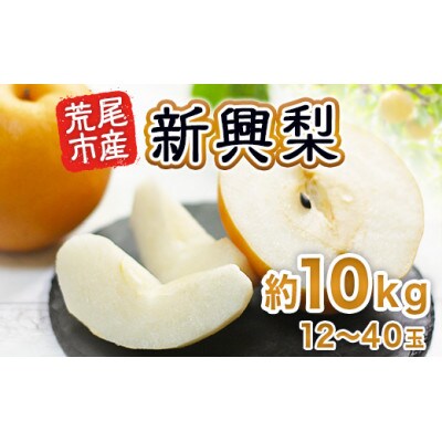 新興梨 約10kg(12~40玉)(荒尾市)