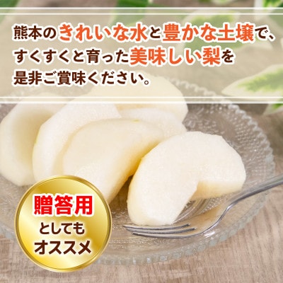新興梨　約10kg(20玉～40玉)(荒尾市)