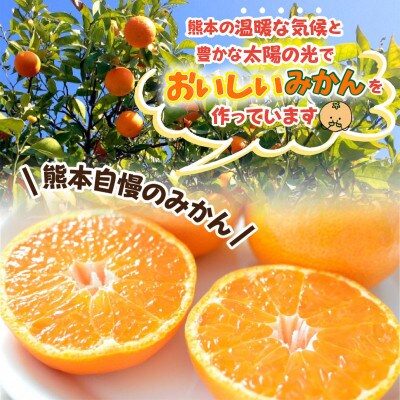 熊本県産 温州みかん約5kg(荒尾市)