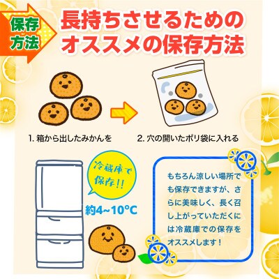 熊本県産 温州みかん約12kg(荒尾市)