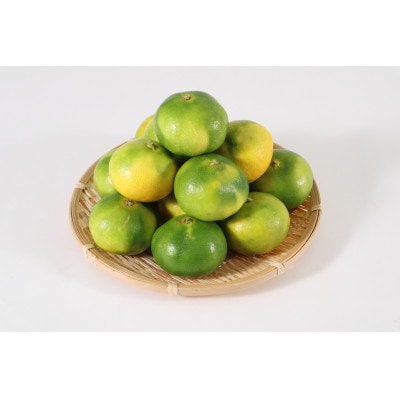 極早生みかん約7kg(荒尾市)