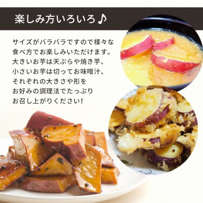 訳アリ 不揃い さつまいも 紅はるかorシルクスイート 5kg(荒尾市産)
