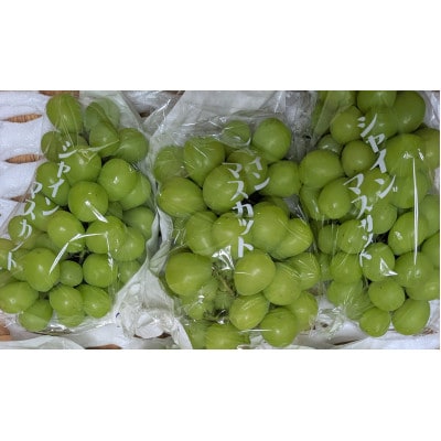 大人気のシャインマスカット 約1kg(2～3房) (荒尾市)