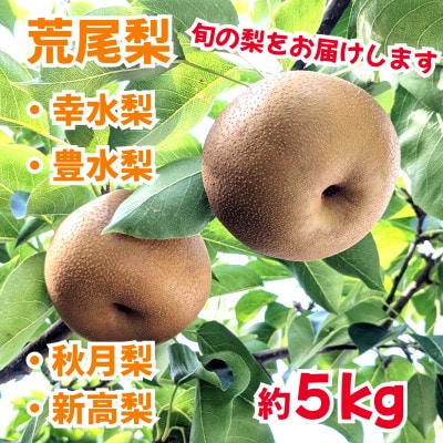 荒尾ブランド梨　旬の荒尾梨　約5kg(幸水梨・豊水梨・あきづき梨・新高梨)(荒尾市)