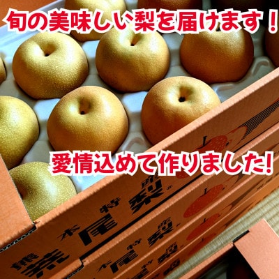 荒尾ブランド梨　旬の荒尾梨　約5kg(幸水梨・豊水梨・あきづき梨・新高梨)(荒尾市)