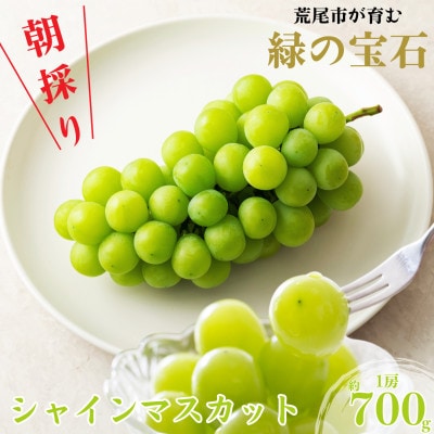 【先行予約】【数量限定】荒尾市産 朝採り シャインマスカット 1房 約700g【前田果樹園】