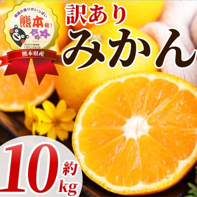 温州みかん 訳あり サイズミックス 3S～3L 約10kg(荒尾市)