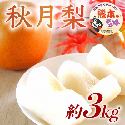 秋月梨 4～12玉 約3kg(荒尾市)