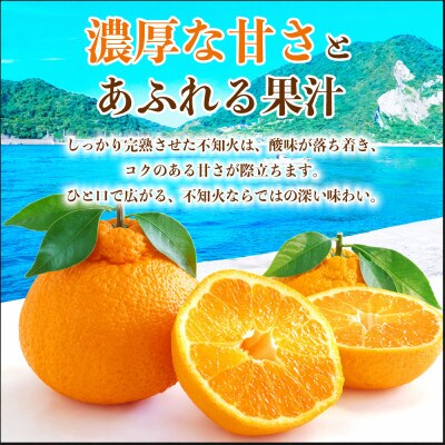 葉付き不知火 5～9玉 約2kg(荒尾市)