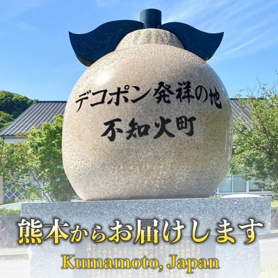 葉付き不知火 6～13玉 約3kg(荒尾市)