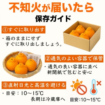 不知火 デコみかん(デコポンと同品種)5～9玉 約2kg(荒尾市)