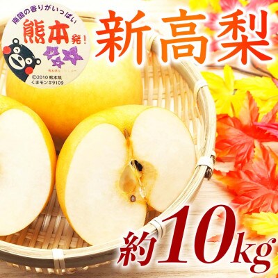 新高梨 12～32玉 約10kg(荒尾市)